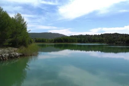 Poza natural en Aragón rodeada de vegetación