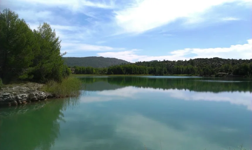Poza natural en Aragón rodeada de vegetación