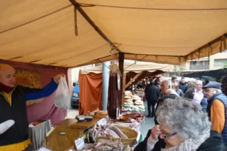 Puestos en la Feria de la Candelera en Barbastro