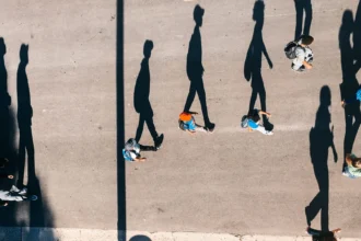 70 años dando la mejor sombra en España