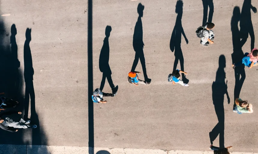 70 años dando la mejor sombra en España