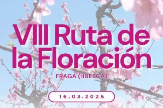 Campos de frutales floridos en Fraga durante la Ruta de la Floración